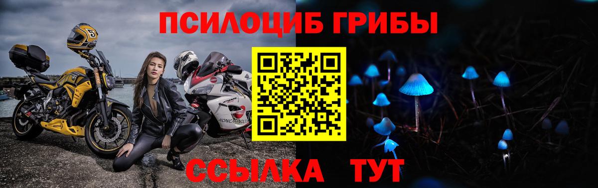 Галлюциногенные грибы мицелий Ишимбай